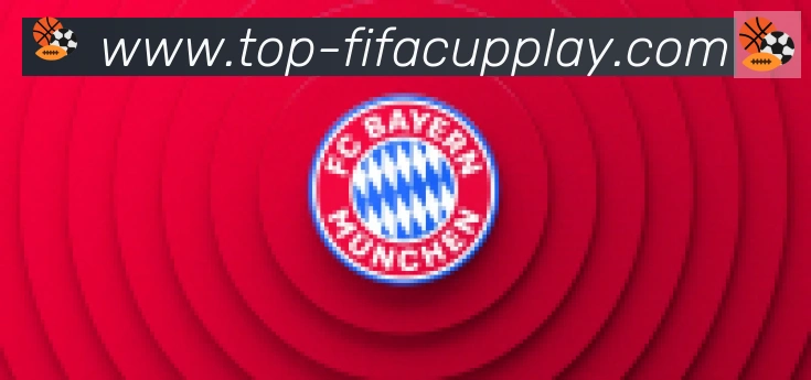 FIFA世界杯买球入口合作伙伴